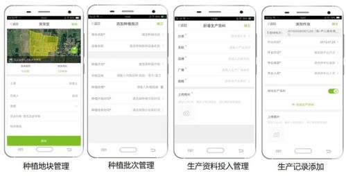 大田智慧農業投資1.28億元數字化服務，推動農產品安全生產與數字內容制作